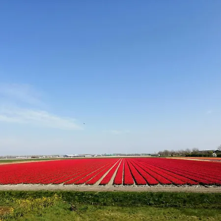 Emmy's Дом отдыха *