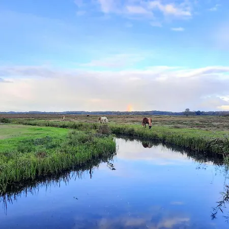 Holiday home Emmy's Schoorl