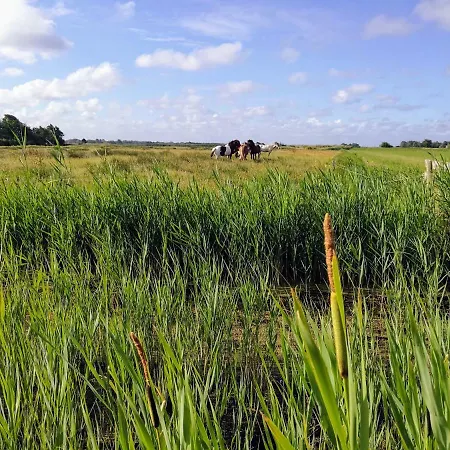 Vakantiehuis Emmy's Schoorl