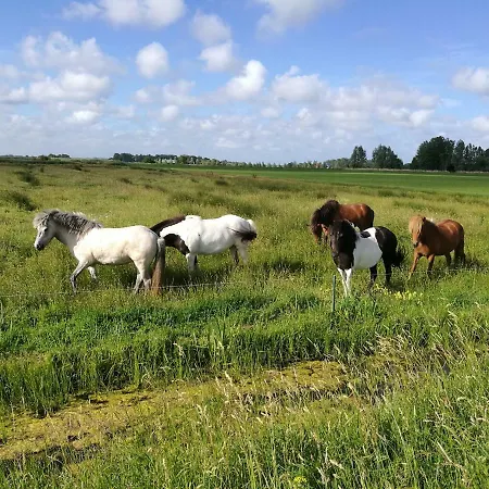 Emmy's Vakantiehuis *