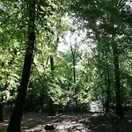 Emmy's Schoorl